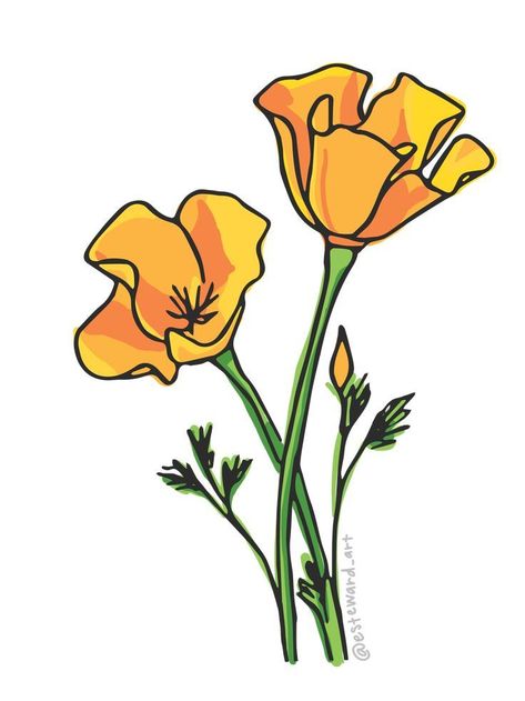 California Poppies | acrylic painting food
, kitchen artwork painting
, kitchen artwork painting
, acrylic painting kitchen art
, oil painting food
, kitchen paintings art wall decor
, kitchen paintings art wall decor bohemian
, fruit wall art
, fruit art print
, fruit painting prints
, abstract fruit painting
, fruit canvas painting California Poppy Line Drawing, California Poppy Drawing, Poppies California, California Drawing, California Poppy Painting, Poppy Symbolism, Poppies Illustration, California Poppy Tattoo, Poppy Illustration