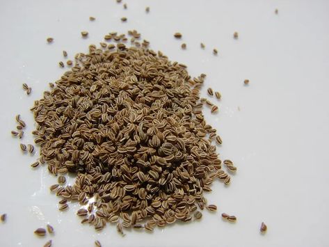 Best 10 Celery Seed Substitutes - Chef's Pencil Seed Benefits, Fermented Milk, Celery Seed, Natural Herbs, Medicinal Herbs, Plant Food, Herbal Medicine, Food Hacks, Dietary Supplements