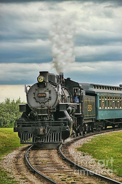 Old Train Pictures, Steam Trains Photography, Train Photos, Old Steam Train, Train Posters, Steam Engine Trains, Bull Elk, Luxury Train, Rail Road