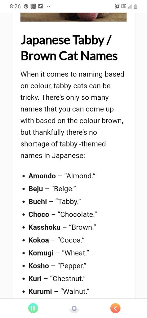 Cute Japanese Pet Names, Japanese Cat Names, Mori Kei Aesthetic, Kei Aesthetic, Pirate Coloring Pages, Cute Cat Names, Getting A Kitten, Mori Kei, Name Inspiration