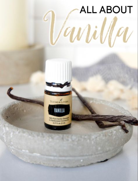 This scent is a must have for the holidays!! Place an order with me and I’ll send you a FREE christmas spirit!! Click my link to shop! Send me a message when you’re finished! Young Living Diffuser, Vanilla Oil, Essential Oils For Pain, Essential Oils For Headaches, Young Living Essential Oils Recipes, Essential Oils Guide, Essential Oils For Sleep, Yl Essential Oils, Essential Oil Blends Recipes