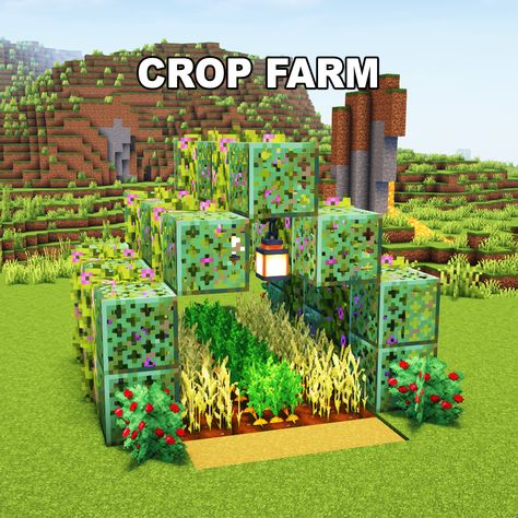 Minecraft Crop Farm ✅ Follow for OP Minecraft Builds 📢 Share with your Friends 💬 Rate this Build 1-10 🔖Tags 🔖 #minecraft #minecraftbuilds #minecrafters #minecraftpe #minecraftmemes #mınecraftideas #minecraftbuild #minecraftbuilding #minecraftbuilding #minecrafttutorial #minecraftonly #mcpe #minecraftpc #minecraftcreations #minecraftdaily #minecraftdesign #minecraftjava #minecrafts #minecraftyoutuber #gaming Crop Farm Minecraft, Minecraft Crop Farm Ideas, Minecraft Crop Farm, Minecraft Farm Ideas Crops, Minecraft Campsite, Minecraft Camp, Crop Farming, Minecraft Farm, Minecraft Inspo