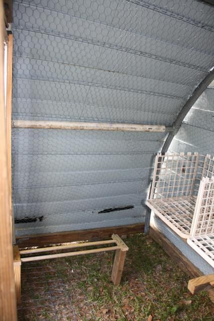 trampoline chicken coop - update | Page 2 | BackYard Chickens - Learn How to Raise Chickens Chicken Coop From Trampoline Frame, Trampoline Chicken Run, Trampoline Chicken Coop Diy, Trampoline Chicken Coop, Raising Chickens Diy, How To Raise Chickens, Half Chicken, Chicken Farming, Raise Chickens