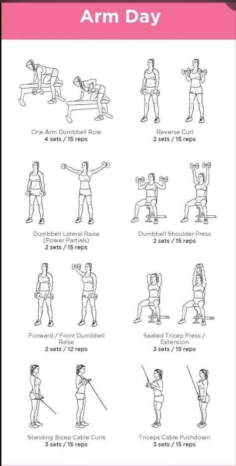 Arm Day Routine, Arm Machine Workout, Thigh Workout Challenge, Defined Arms, Workout Gym Routine, Workout Program Gym, Gym Workout Plan For Women, Day Routine, Tricep Dips