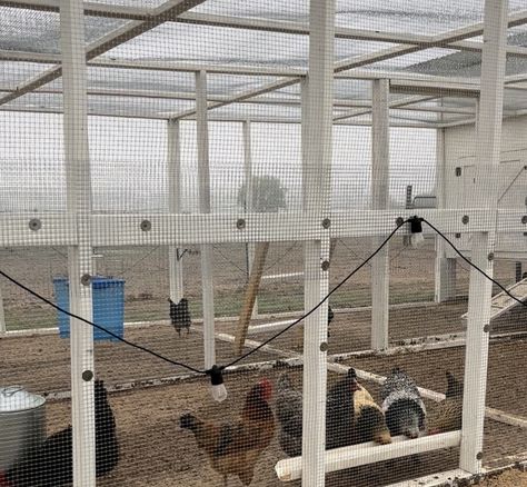 Attaching Hardware Cloth To Chicken Run, Hardware Cloth Chicken Coop, Coop Windows, Coop Run, Chicken Fence, Best Cover Up Tattoos, Chicken Coop Run, Chicken Run, Hardware Cloth