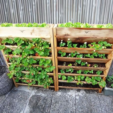 Vertical Strawberry Garden, Vertical Strawberries, Vertical Strawberry Planter, Vertical Container Gardening, Vertical Garden Planters, Vertical Vegetable Garden, Vertical Herb Garden, Strawberry Garden, Vertical Planter