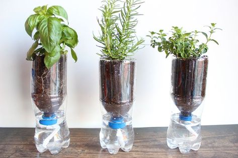 Diy Self Watering Planter, Self Watering Plants, Earth Day Crafts, Bows Diy, Self Watering Planter, Container Gardening Vegetables, Hydroponics System, Vegetable Garden Design, Diy Garden Projects