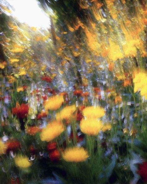 #NOWNESSweekly⁠: Blossoming dreams in a vivid blur submitted by @oum___b⁠ ⁠💐 ⁠ Are you a creative and want the chance to be featured on… | Instagram Blurred Images, Every Other Thursday, Blurred Vision, Blur Image, Artist Photography, 5 Senses, Abstract Floral Art, Natural Landscape, Art Memes