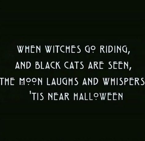 Black Cat Quotes, Quotes Halloween, Attitude Clothing, Cat Quotes, Heart For Kids, Clothing Co, Black Cat, Witch, Things To Come