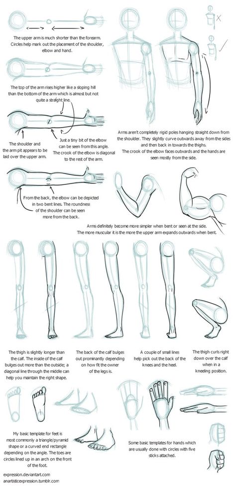 Here&#039;s a selection of different noses and jawlines that can be used for a variety of character types. Eye Shapes Drawing, Shapes Drawing, Realistic Eye Drawing, Body Drawing Tutorial, Cartoon Eyes, Drawing Faces, Lips Drawing, Anatomy Drawing, Body Drawing