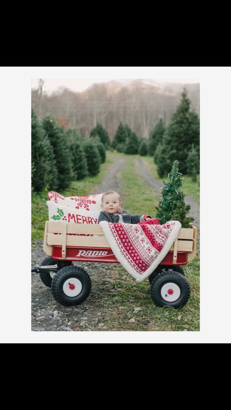 Christmas Wagon Pictures, Christmas Wagon Photoshoot, Christmas Farm Pictures, Family Christmas Pictures Truck, Wagon Christmas Pictures, Red Wagon Christmas Pictures, Christmas Tree Farm Baby Pictures, Christmas Tree Farm Photo Shoot Props, Christmas Tree Farm Photo Shoot Baby