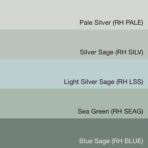 Possible wall colors Restoration Hardware Silver Sage, Silver Sage Paint, Diy Wedding Dance Floor, Sage Paint Color, Restoration Hardware Paint, Interior Paint Colors For Living Room, Wedding Dance Floor, Interior Paint Colors Schemes, Silver Sage