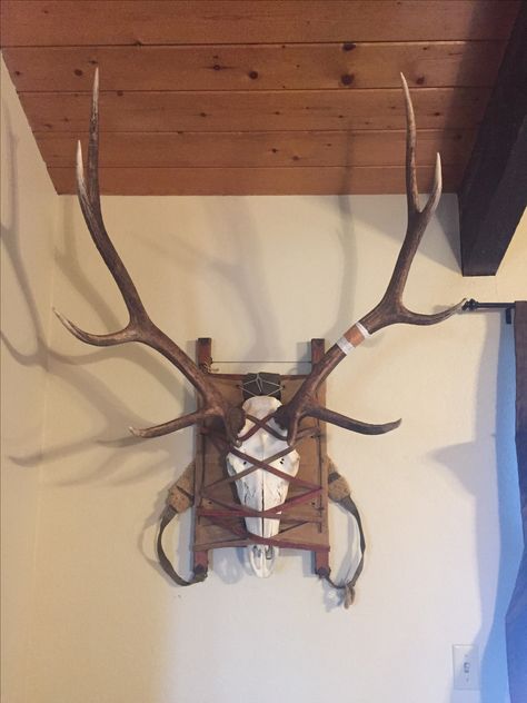 Elk European Mount Ideas, European Deer Mount Ideas, European Mount Ideas, Deer Wall Mount, Deer Mount Ideas, Elk Head, European Mount, Deer Hunting Tips, Deer Mounts