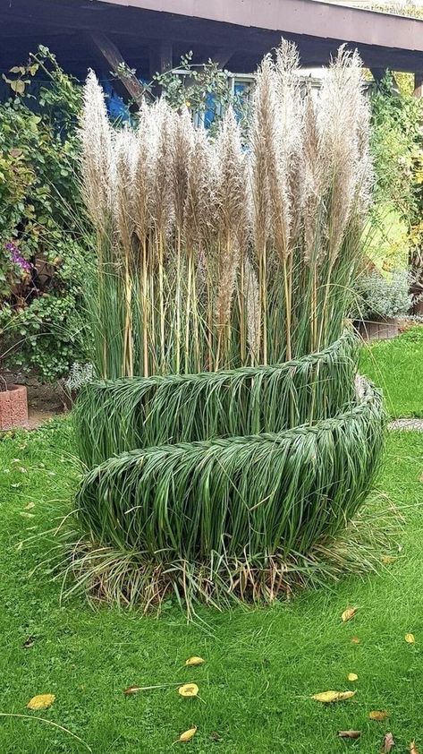 Sweet Grass Braid, Braiding Ornamental Grasses, Ornamental Grass, Summer Flowers Garden, Hillside Landscaping, Creative Gardening, Ornamental Grasses, Planting Herbs, Gorgeous Gardens