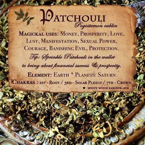 Herbs For Money, Witchy Herbs, Herb Magic, Manifestation Spells, Magickal Herbs, Witch Herbs, Magia Das Ervas, Magic Herbs, Under Your Spell