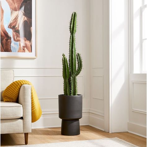 Faux Potted Cactus & Bishop Indoor/Outdoor Planter | West Elm Canada Pedestal Planter, Potted Cactus, Cactus Plant Pots, Faux Cactus, West Elm Kids, Indoor Outdoor Planter, Cactus Plant, Wood Planters, Pottery Barn Teen