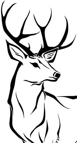 Outdoor Logo Design, White Tail Deer, Outdoor Logo, Deer Vector, Crazy Tattoos, White Tail, Instagram Page, Antlers, Deer