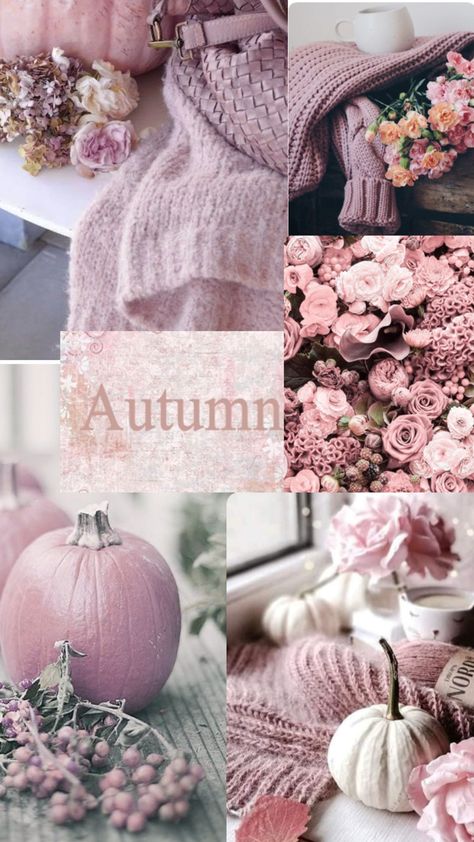 Warm pink Autumn vibes 🍂🫶🏼🎀 Pink Fall Aesthetic Wallpaper, Pink Autumn Wallpaper, Pink Autumn Aesthetic, Pink Fall Aesthetic, Fall Aesthetic Wallpaper, September Wallpaper, Pink Autumn, Autumn Wallpaper, Pink Fall