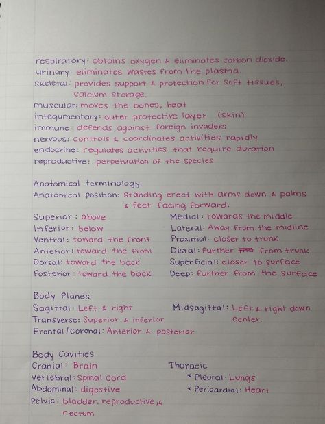 The girls at work seem to get a kick out of my handwriting. Here are some of my school notes. - Imgur: Handwriting Ideas, Medical Notes, Pretty Handwriting, Neat Handwriting, College Notes, Nursing School Studying, Medical School Studying, Nursing School Notes, School Organization Notes