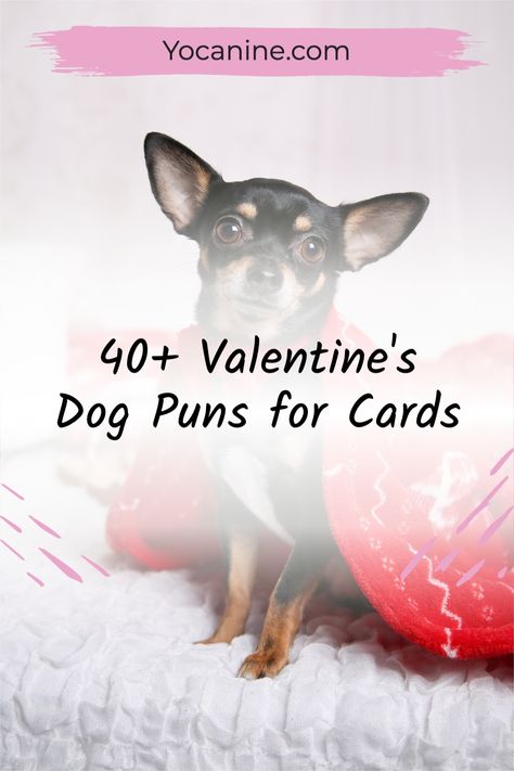 This is the biggest and best list of dog valentines saying and dog valentines card puns. Dog valentines puns, dog valentines ideas, dog valentines things to do, Valentines For Dogs, Dog Valentines Sayings, Doggie Valentines, Dog Pick Up Lines, Dog Valentines Cards, Doggie Quotes, Valentines Things, Valentines Sayings, Pet Valentines