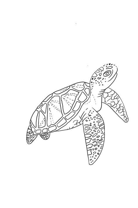 Sea Turtle Tattoo Stencil, Turtle Flash Tattoo, Turtle Tattoo Outline, Turtle Outline Tattoo, Sea Turtle Outline, Sea Turtle Stencil, Cute Turtle Tattoo, Turtle Outline, Slayer Tattoo