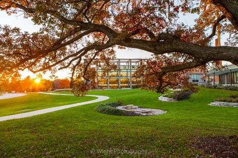 An Evening from Valparaiso University Valparaiso University, Weather Photography, Valparaiso Indiana, Photojournalism Photography, Landscape Photography Nature, Meteorology, Beautiful Evening, Photography Family, One Tree