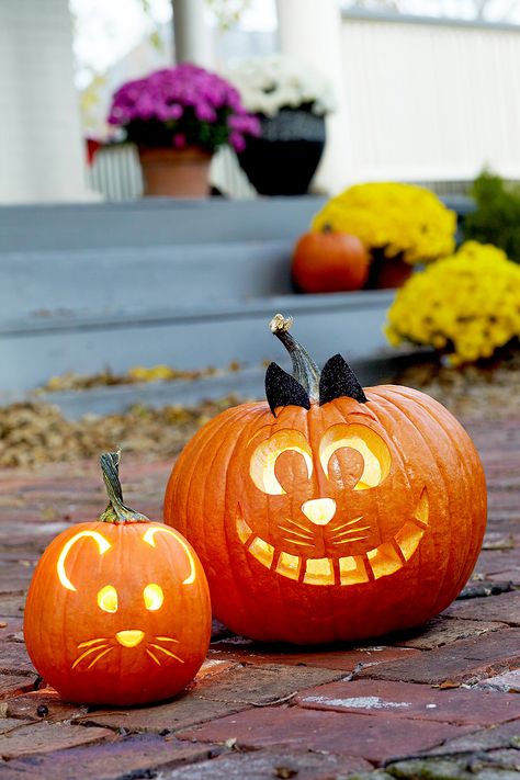 Small Pumpkin Carving Ideas, Kids Pumpkin Carving, Pumpkin Carving Stencils Free, Pumpkin Cravings, Cute Pumpkin Carving, Gingerbread Ideas, Halloween Pumpkin Carving Stencils, Halloween Decor Diy, Pumpkin Carving Party