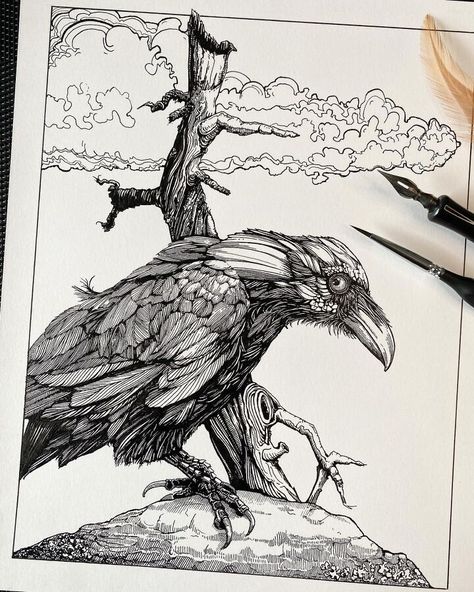 Ink Bird Drawing in Black and White Raven Illustration, Ink Line Art, Micron Pen Art, Traditional Illustration, Ink Doodles, Illustration Pen And Ink, White Drawing, Black And White Drawing, Line Illustration