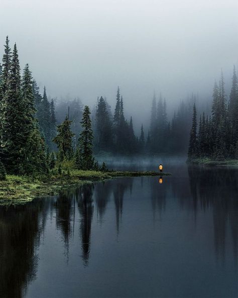 Scotland Aesthetic, Mountain Aesthetic, Dark Landscape, Foggy Mountains, Charcoal Drawings, Foggy Forest, Dark Nature Aesthetic, Mount Rainier National Park, Misty Forest