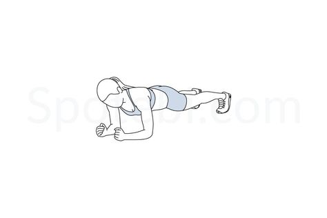 Plank exercise guide with instructions, demonstration, calories burned and muscles worked. Learn proper form, discover all health benefits and choose a workout. Thinner Waist, Plank Exercise, Workout Pics, Victoria Secret Workout, Back Fat Workout, Plank Pose, Calories Burned, Basic Workout, Workout Posters