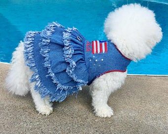 Female Dog Clothes, Dog Dress Pattern, Dog Outfits, Fleece Dog Coat, Patriotic Dresses, Patriotic Dog, Layer Skirt, Dog Clothes Patterns, Dog Dress