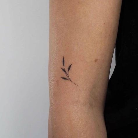 Word Tattoos On Arm, Four Leaf Clover Tattoo, Leaf Tattoo, Branch Tattoo, Clover Tattoos, Small Flower Tattoos, Upper Arm Tattoos, Flower Tattoo Arm, Petite Tattoos