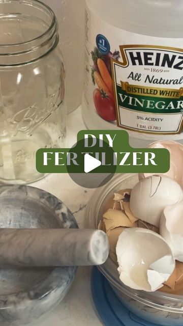 How To Fertilize Garden, Eggshell Fertilizer, Homemade Plant Fertilizer, Garden Hack Ideas, Homemade Fertilizer, Diy Fertilizer, Vege Garden, Flower Fertilizer, Tomato Trellis