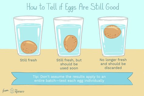 How to Test If Eggs Are Still Good Egg Test For Freshness, Egg Test, Food Facts, Fresh Eggs, Chicken Eggs, What Happened To You, Chickens Backyard, Baking Tips, Household Hacks