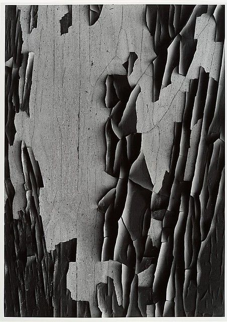 Siskind, Aaron (1903-1991) - 1949 Jerome, Arizona 20 | Flickr Jerome Arizona, Aaron Siskind, Harry Callahan, Black Mountain College, Nature And Architecture, One Hour Photo, Laszlo Moholy Nagy, Moholy Nagy, Photographers Gallery