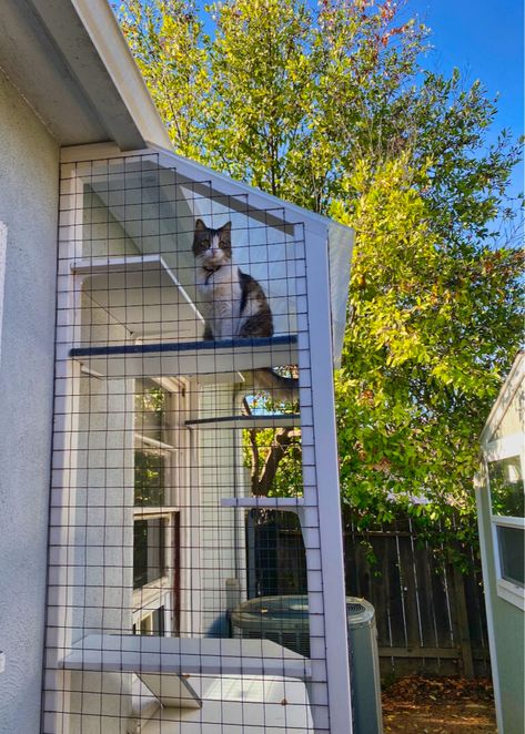 Catios - Custom Catios Cat Balcony Ideas, Catio Patio, Custom Catios, Catio Cats, Cat House Outdoor, Catio Plans, Japanese Bathroom Design, Cat Comfort, Outdoor Pet Enclosure