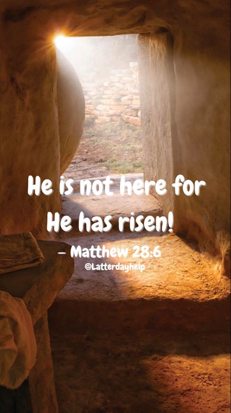 “He is not here for He has risen.” — Matthew 28:6 Matthew 28 He Has Risen, He’s Not Here He’s Risen, He Is Risen Phone Wallpaper, Matthew 28:6 Wallpaper, He Is Not Here For He Has Risen Quotes, He Has Risen Easter Wallpaper, Matthew 28:6, He Is Risen Wallpaper Iphone, He Is Risen Images