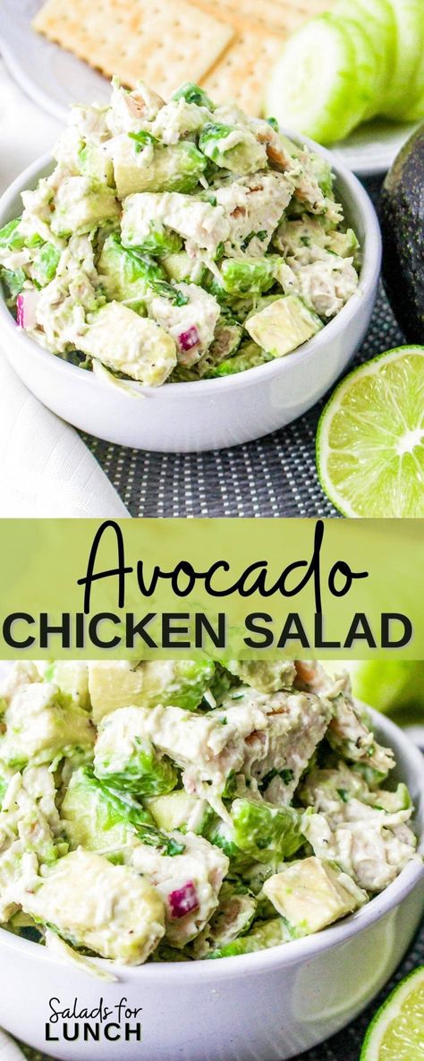 Creamy Avocado Chicken Salad, Chicken Salad Recipe With Avocado, Avocado And Chicken Salad, Chicken Avacacado Salad Recipes, Avacodo Chicken Salad, Chicken Avocado Recipes, Chicken Avocado Burrito, Avocado Chicken Recipes, Green Salad With Chicken