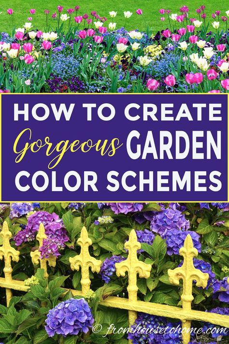 Learn the easy way to create garden color schemes that will make your backyard feel the way you want it to and make floral design a snap. #fromhousetohome #gardeningtips #gardencolorschemes #gardendesign #gardening House To Home, Backyard Garden Layout, Purple Garden, Starting A Garden, Flower Landscape, Blue Garden, Plant Combinations, Olive Garden, Garden Designs