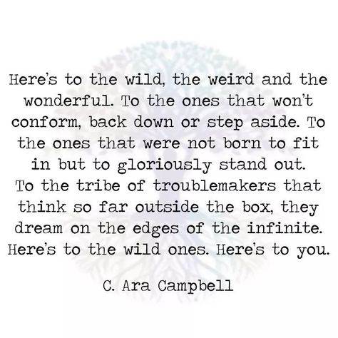 Here's to the wild, the weird and the wonderful. To the ones that won't conform, back down or step aside. To the ones that were not born to fit in but to gloriously stand out. To the tribe of troublemakers that think so far outside the box, they dream on the edges of the infinite. Here's to the wild ones. Here's to you. C. Ara Campbell Raising The Wild Ones Quote, Raise Her Wild Quotes, Go Wild Quotes, Wild Ones Quotes, Standing On The Edge Quotes, Let Her Be Wild Quotes, Wild One Quotes Woman, Why Fit In When Your Born To Stand Out, Born To Stand Out Quotes