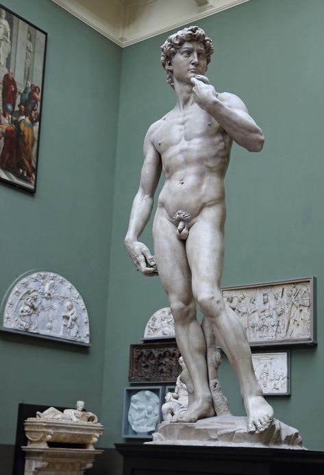 Michelangelo's David - plaster cast | A plaster cast of Mich… | Flickr Michelangelo Statue, Michelangelo David, David Michelangelo, Statue Of David, Michelangelo's David, Male Body Art, Feroz Khan, Plaster Cast, Marble Statues