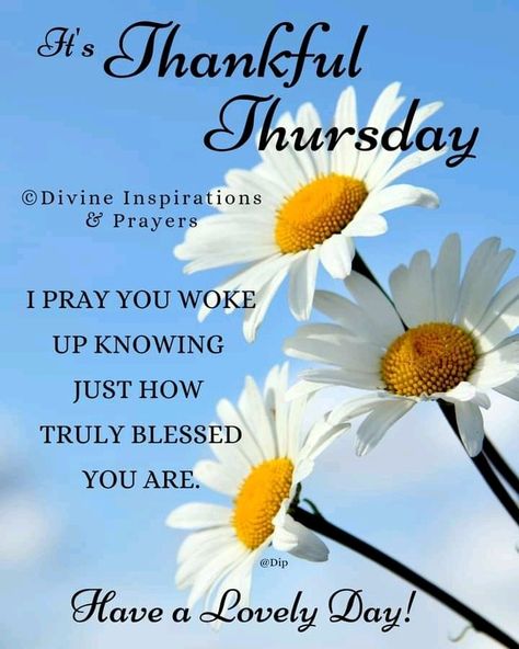 Thursday Wishes, Divine Inspiration And Prayers, Thursday Morning Quotes, Thursday Prayer, Good Morning Happy Thursday, Blessed Wednesday, Happy Wednesday Quotes, Thursday Quotes, Happy Birthday Greetings Friends