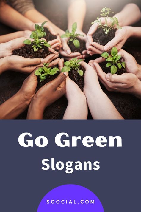 Go Green Slogans, Tree Slogan, Save Environment, Sustainable Environment, Save Our Planet, Catchy Slogans, Green School, Our Planet Earth, Green Environment