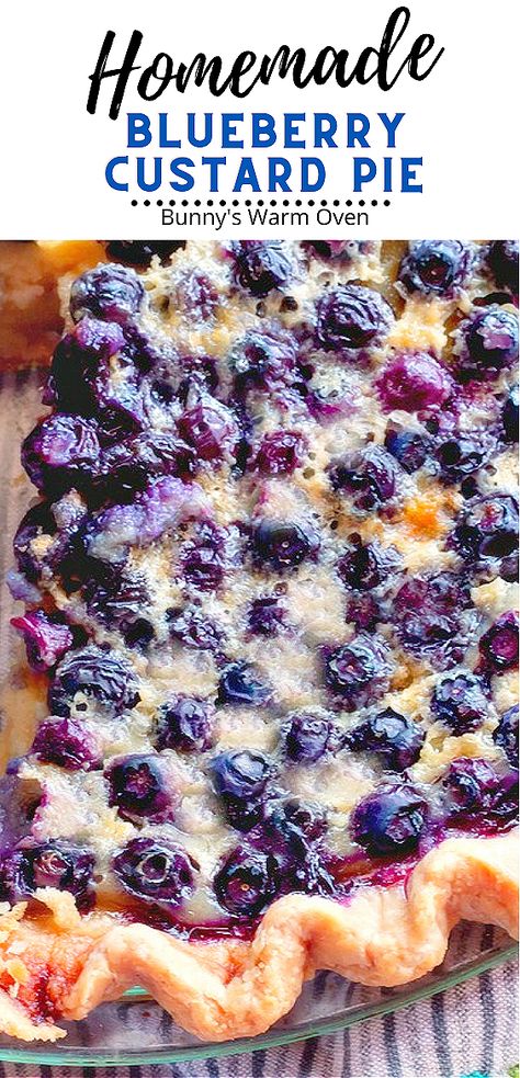 Homemade Blueberry Custard Pie sitting in a clear glass pie plate. Blueberry Pina Colada Pie, Blueberry Pie Filling Uses, Pie Blueberry Recipe, Blueberry Custard Crumble Pie, Blackberry Custard Pie Recipe, Custard Fruit Pie, Cold Blueberry Pie, Blueberry Custard Cake, Blueberries Pie Recipe