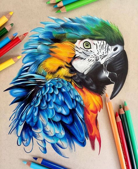 Coloured Pencil Animal Drawings, Colored Pencil Artwork Ideas Beautiful, Animal Realistic Drawing, Colorful Animal Drawings, Prismacolor Art Realistic, Color Pencil Art Drawings, Color Pencil Art Realistic, Beautiful Butterfly Drawing, Realistic Drawings Colored Pencils