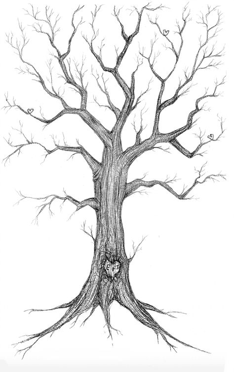 Family Tree Template Aesthetic, Family Tree Aesthetic, Family Tree Sketch, Old Tree Drawing, Tree Drawing Wallpaper, Trees Art Drawing, Wall Art Tattoo, Family Tree Drawing, Evergreen Tree Tattoo