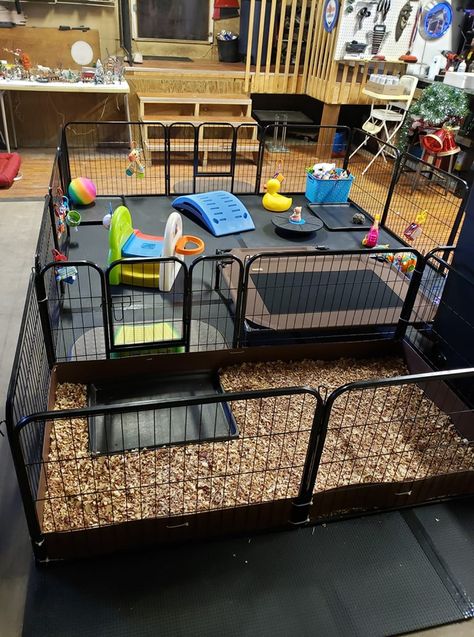 Playroom For Dogs, Whelping Pen Ideas, Puppy Zone Ideas, Puppy Weaning Pen, Indoor Puppy Play Area Dog Rooms, Dog Foster Room, Puppy Pens Indoor, Outdoor Puppy Pen, Puppy Breeding Setup