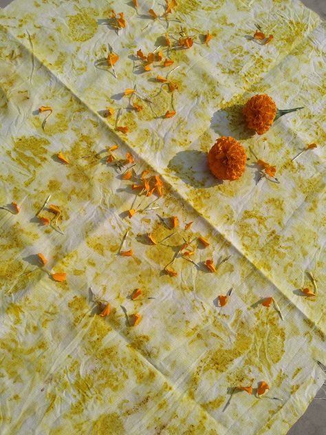 Bundle Dyeing, Eco Printing Textiles, Eco Print Scarf, Flower Dye, Floral Sarees, Diy Dye, Eco Print, Sewing Machine Basics, Kiosk Design