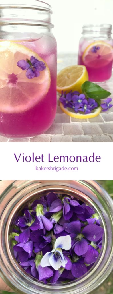 Violet Lemonade, Edible Flowers Recipes, Foraging Recipes, Foraged Food, Herbal Recipes, Lemonade Recipes, Flower Food, Edible Flowers, Tea Recipes