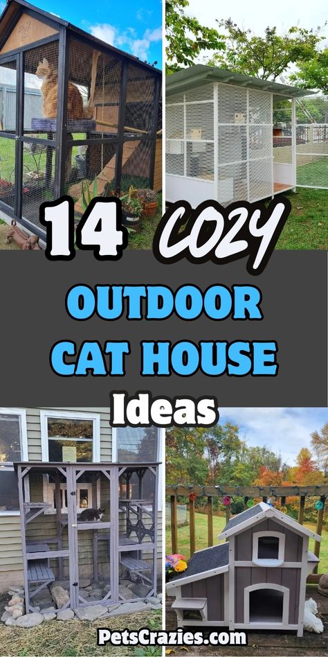 "Image features four cozy outdoor cat house ideas, each providing safe and comfortable spaces for cats. The text '14 Cozy Outdoor Cat House Ideas' is displayed prominently in bold fonts. Featured styles include weatherproof and multi-level enclosures designed for comfort and protection. The overall theme emphasizes functionality and coziness, ideal for pet owners looking to create secure outdoor areas for their cats." Cat Sanctuary Ideas Outdoor, Cat Porch Ideas, Tire Cat House Outdoor, Catios Ideas For Cats, Outdoor Cat Shelter Diy, Outdoor Cat House Diy, Outside Cat Enclosure, Cat House Ideas, Outside Cat House